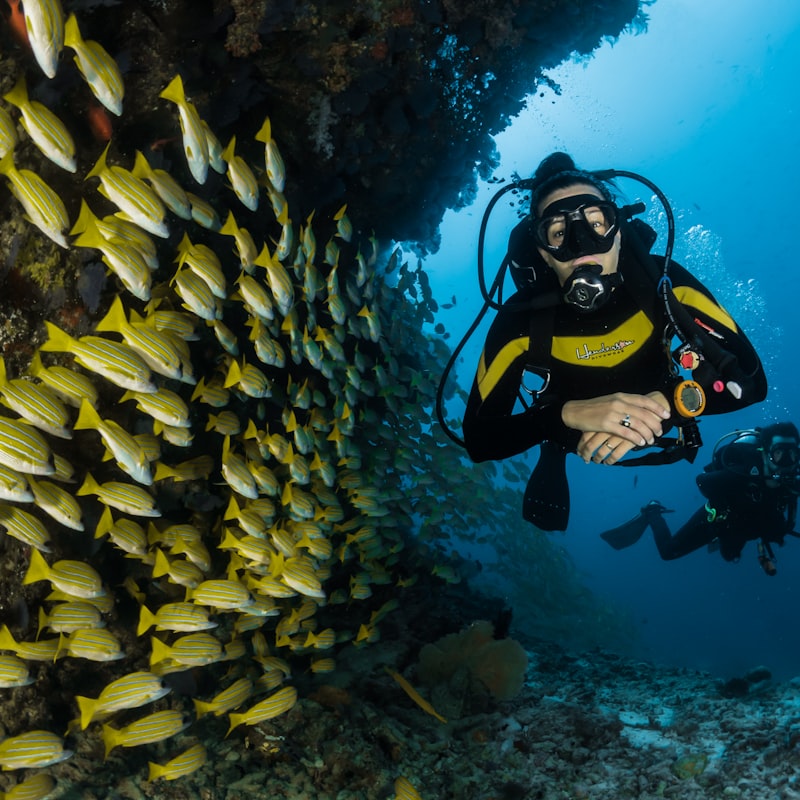 Snorkelling
